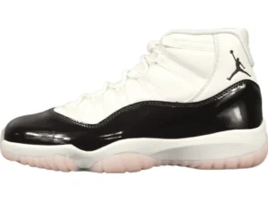 JORDAN 11 RETRO x NEOPOLITAN