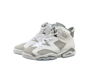 Jordan 6 "Cool Grey"