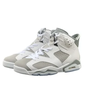 Jordan 6 "Cool Grey"