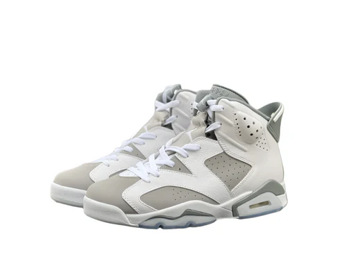 Jordan 6 "Cool Grey"