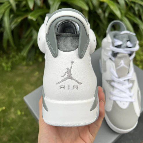 Jordan 6 "Cool Grey"