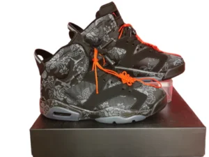 Jordan 6 Black and Orange