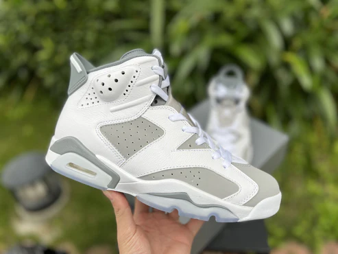 Jordan 6 "Cool Grey"