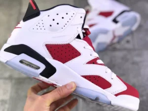 Jordan 6 “Gatorade”