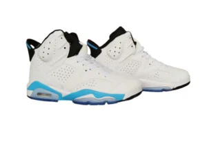 Jordan 6 White and Blue