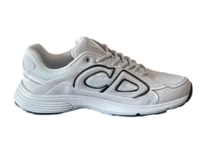 DIOR B30 GREY