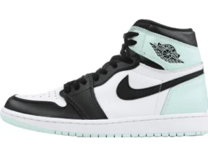 JORDAN 1 RETRO HIGH x NRG IGLOO